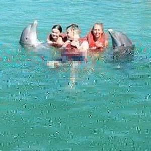 Meet your Posher, Jen